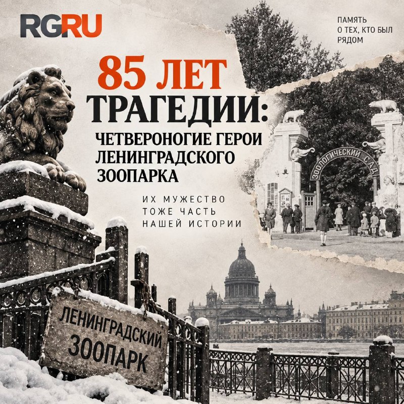 85 лет назад началась блокада Ленинграда.